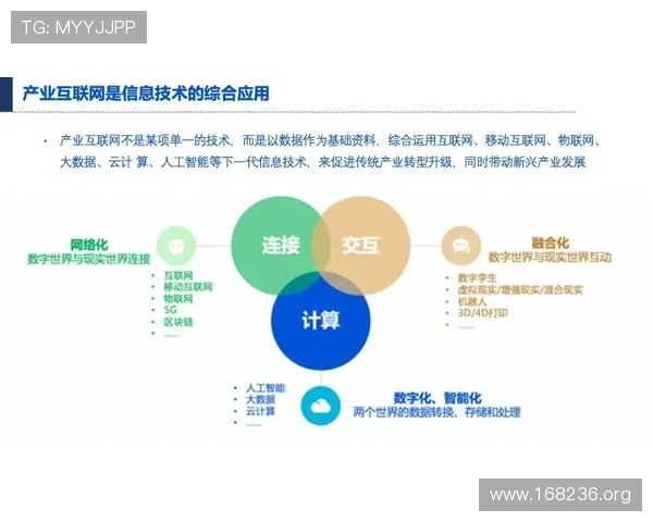 全面解析永乐国际网站的优势与最新发展趋势
